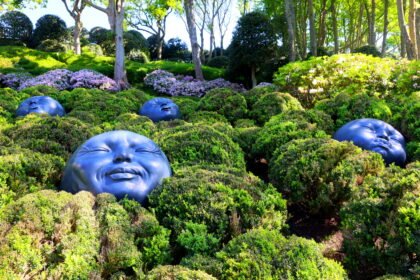 Architecture – Les Visages du Jardin