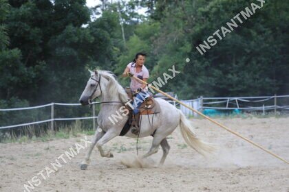 Cavalière au galop sur un cheval blanc dans une carrière équestre
