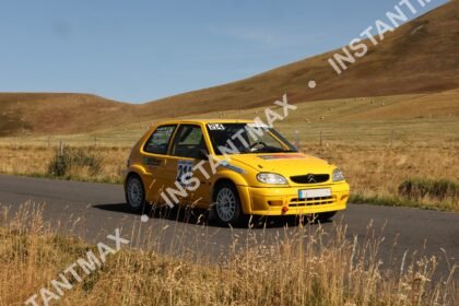 instantmax (1002)