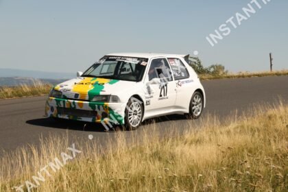 instantmax (1207)
