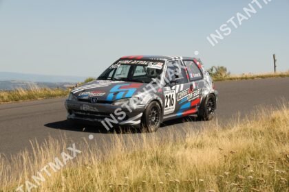 instantmax (1208)