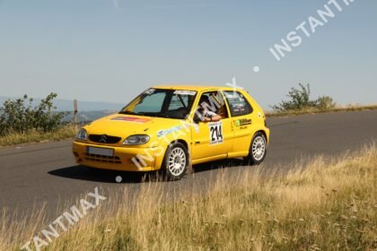 instantmax (1211)