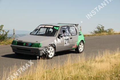 instantmax (1215)