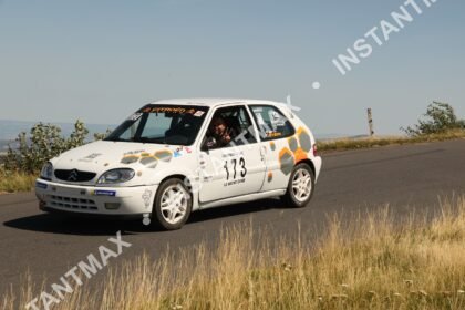 instantmax (1229)